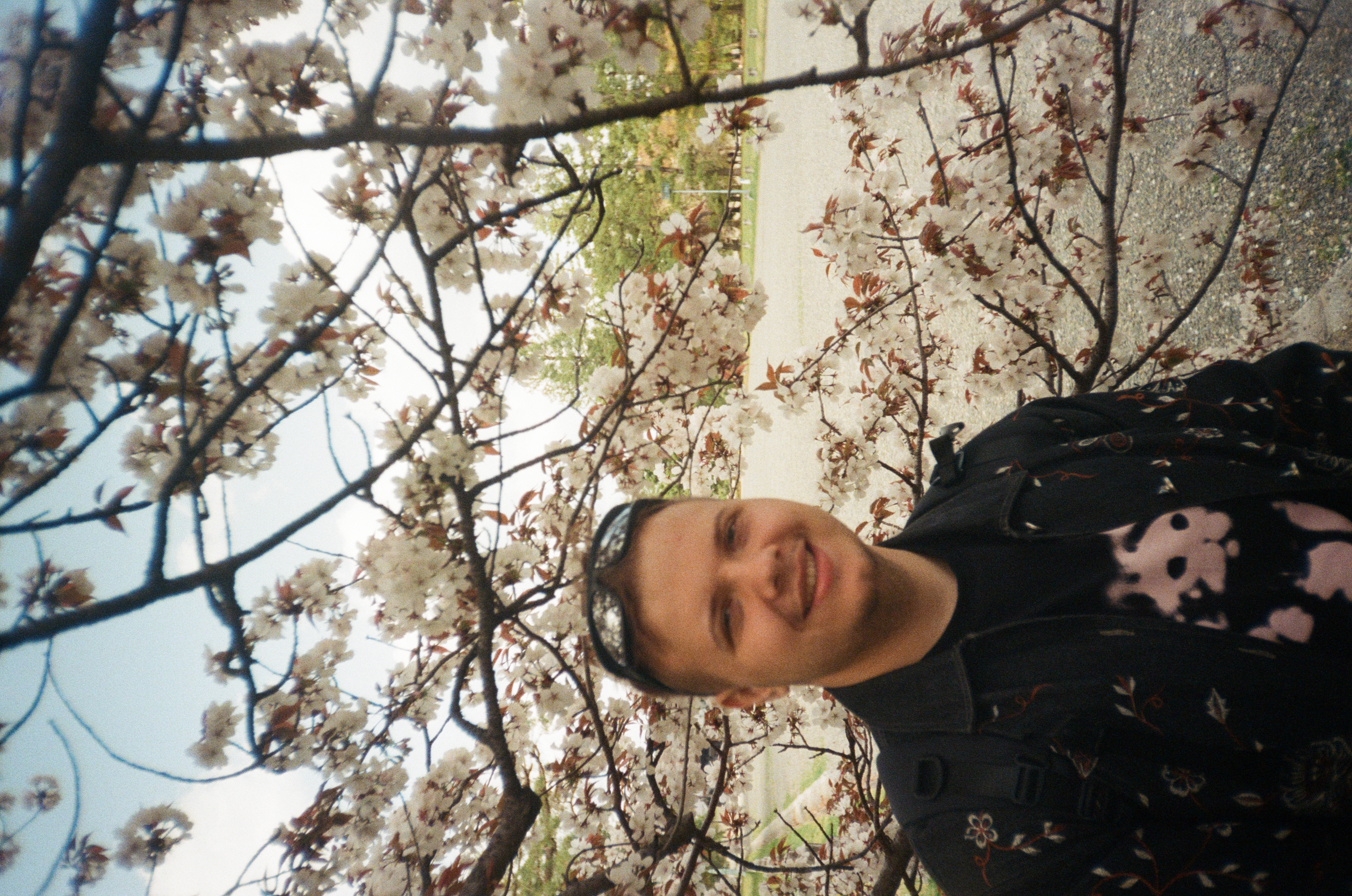Japan Photo 2