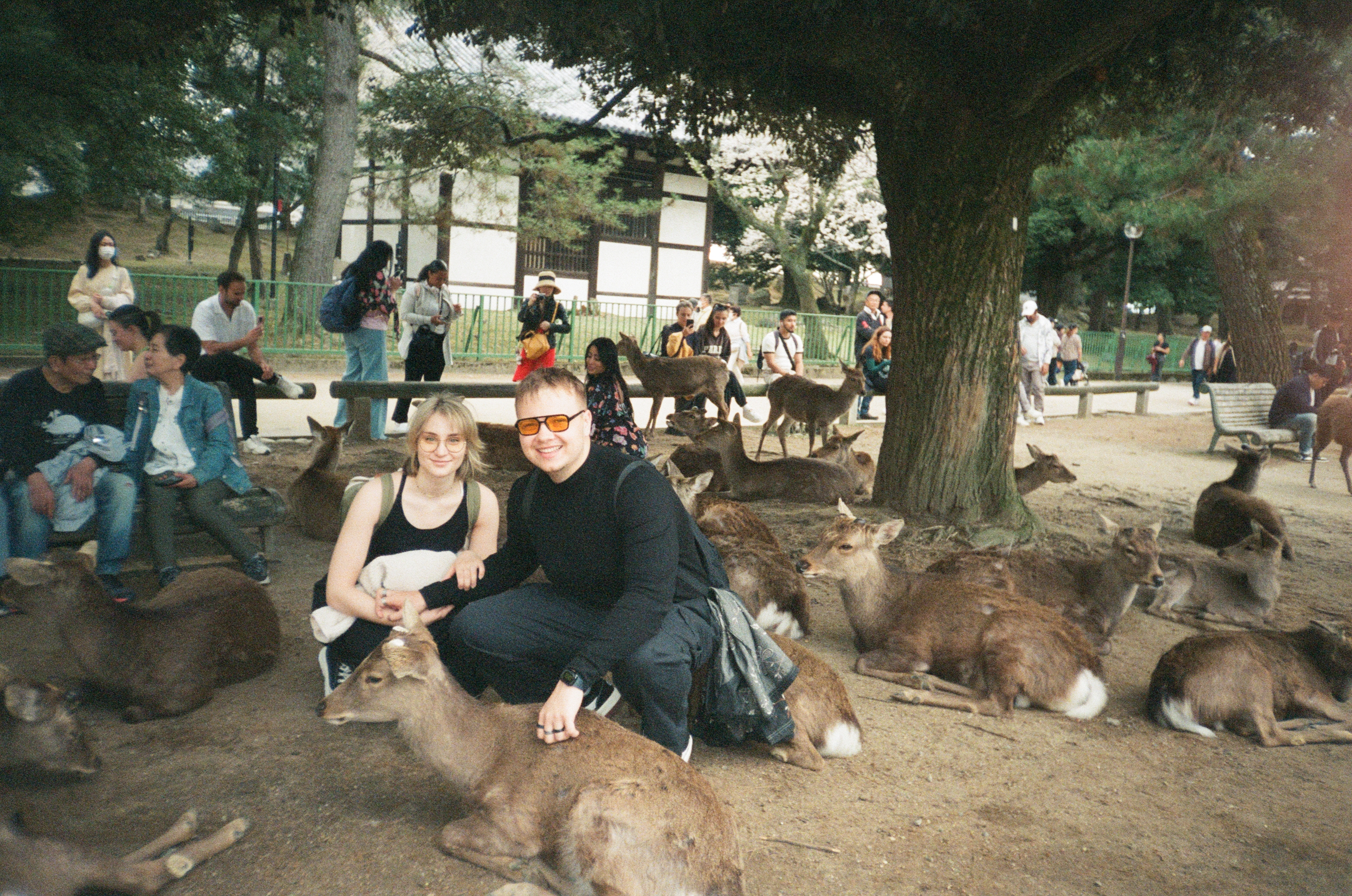 South Korea Photo 5