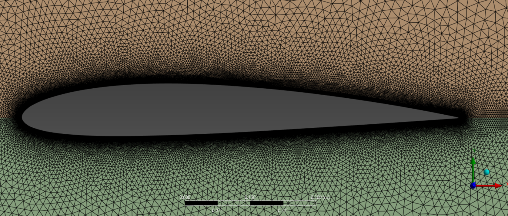 RANS mesh closeup